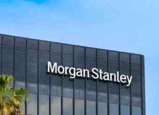 Merkez Bankası Faiz İndirimi Tahmini – Morgan Stanley Analizi news-22112024-225229