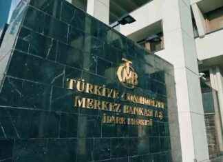 Merkez Bankası faiz kararı: Ekonomistler yorumladı – Ekonomi Haberleri news-22112024-225813