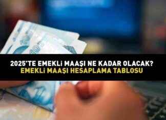 2025 EMEKLİ MAAŞI ZAM ORANI HESAPLAMA TABLOSU: SSK, BAĞKUR Yeni Emekli Maaşı – Ekonomi Haberleri 2025-emekli-maa-zam-oran-hesaplama-tablosu-ssk-bakur-yeni-emekli-maa-ekonomi-haberleri