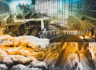 Borda 2024 Satış Rekoru Kırma Haberleri – Ekonomi Güncel borda-2024-sat-rekoru-krma-haberleri-ekonomi-gncel