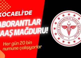 Kocaeli Taşeron Laborantlar Maaş Sorunu ve Çözüm Yolları kocaeli-taeron-laborantlar-maa-sorunu-ve-zm-yollar