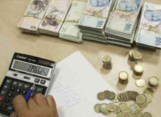 2024 Bozuk Para Cebine Ne Kadar Girer? 1,5 Milyar Lira Hedefi 2024-bozuk-para-cebine-ne-kadar-girer-15-milyar-lira-hedefi