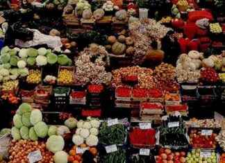 Ağustos 2024 Gıda Fiyatları Endeksi ve Artış Detayları austos-2024-gda-fiyatlar-endeksi-ve-art-detaylar