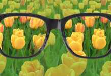 Renk Körlüğü: Nedenleri, Türleri ve Çözüm Yolları Renk Körlüğü Nedenleri, Belirtileri ve Tedavi Yöntemleri