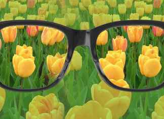 Renk Körlüğü: Nedenleri, Türleri ve Çözüm Yolları Renk Körlüğü Nedenleri, Belirtileri ve Tedavi Yöntemleri