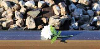 Akademisyen Alım İlanları ve Şartları Akademisyen Alım İlanları ve Şartları