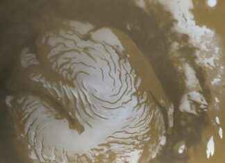 Akıllı Sistemler Uzmanı Alım İlanları ve Şartları Akıllı Sistemler Uzmanı Alım İlanları ve Şartları