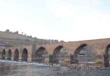 Akvaryum Fiyatları ve Başlangıç Setleri İçin En İyi Seçenekler Akvaryum Fiyatları ve Başlangıç Setleri İçin En İyi Seçenekler