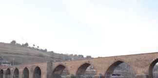 Akvaryum Fiyatları ve Başlangıç Setleri İçin En İyi Seçenekler Akvaryum Fiyatları ve Başlangıç Setleri İçin En İyi Seçenekler