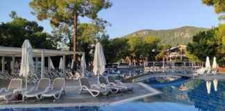 Altın Kemer Fiyatları Hakkında Bilmeniz Gereken Her Şey Altın Kemer Fiyatları Hakkında Bilmeniz Gereken Her Şey