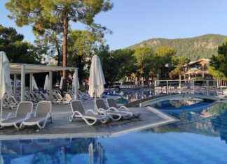 Altın Kemer Fiyatları Hakkında Bilmeniz Gereken Her Şey Altın Kemer Fiyatları Hakkında Bilmeniz Gereken Her Şey