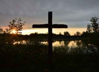Altın Yüzük Fiyatları Aşkınızı Taçlandıracak Seçenekler Altın Yüzük Fiyatları Aşkınızı Taçlandıracak Seçenekler
