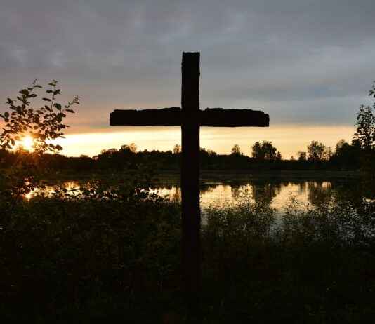Altın Yüzük Fiyatları Aşkınızı Taçlandıracak Seçenekler Altın Yüzük Fiyatları Aşkınızı Taçlandıracak Seçenekler