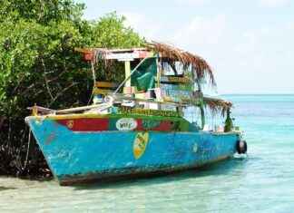 Ambar Memuru Alım İlanları ve Şartları Ambar Memuru Alım İlanları ve Şartları