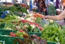 Antalya Hal Fiyatları Güncel Liste ve Takip Yöntemleri Antalya Hal Fiyatları Güncel Liste ve Takip Yöntemleri