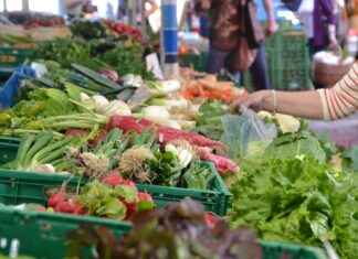 Antalya Hal Fiyatları Güncel Liste ve Takip Yöntemleri Antalya Hal Fiyatları Güncel Liste ve Takip Yöntemleri