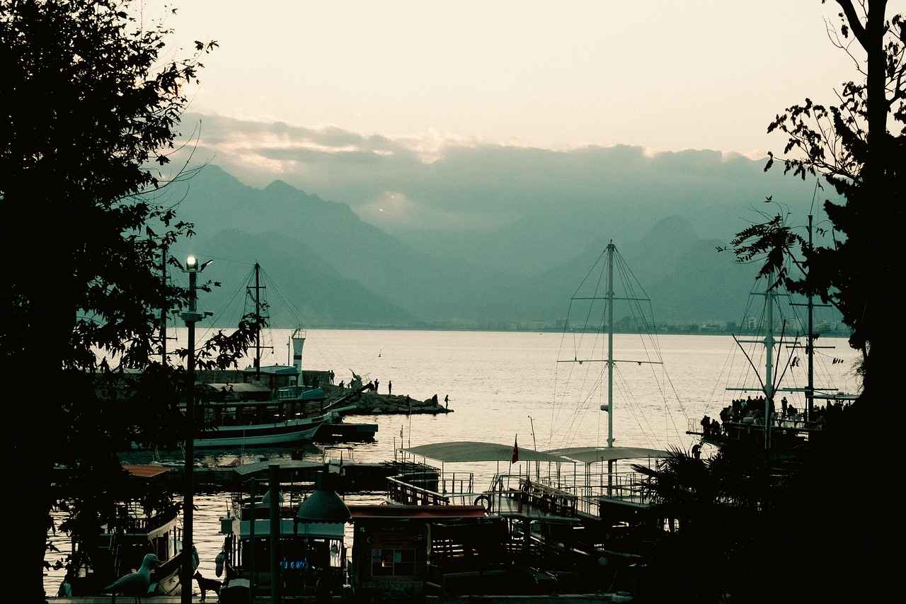 Antalya Hal Fiyatları Güncel Liste ve Takip Yöntemleri 3 Hal Fiyatlarını Takip Etmenin Yöntemleri