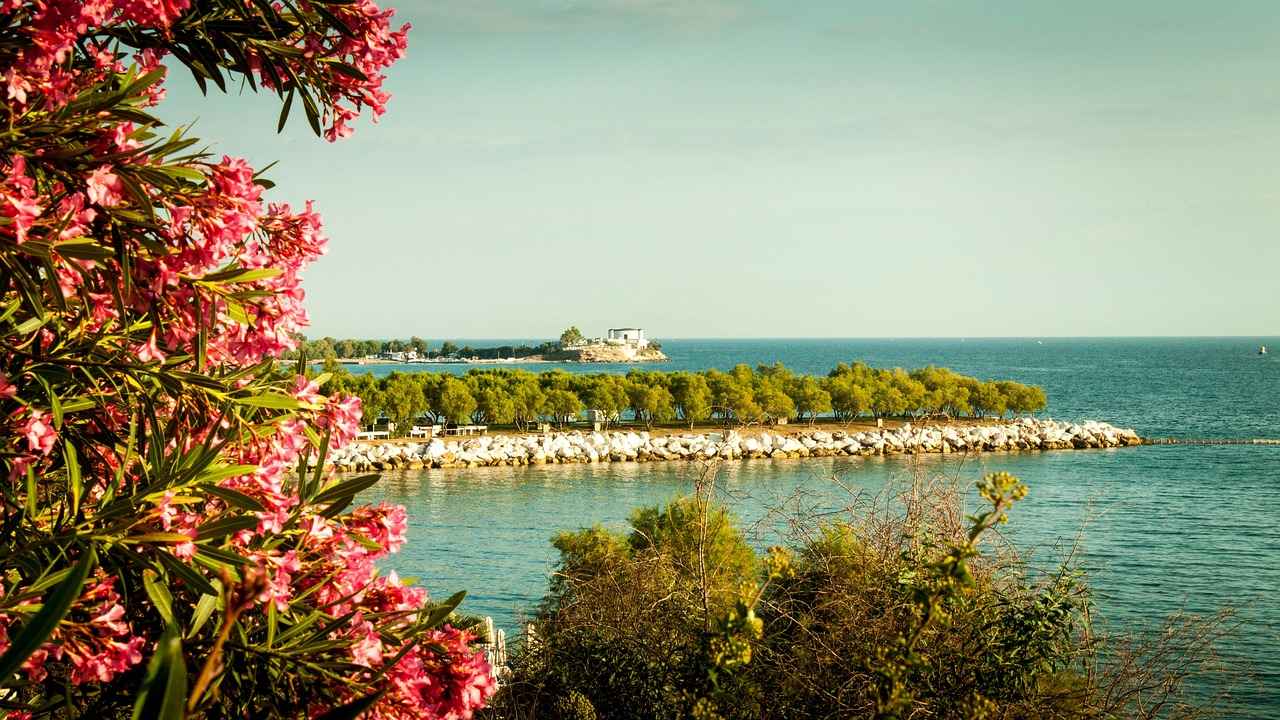 Antalya Kuyumcular Odası Altın Fiyatları Bugün Açıklandı mı? 5 Altın Yatırımı Yaparken Dikkat Edilmesi Gerekenler