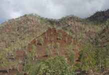 Arap Dili Uzmanı Alım İlanları ve Şartları Arap Dili Uzmanı Alım İlanları ve Şartları