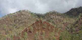 Arap Dili Uzmanı Alım İlanları ve Şartları Arap Dili Uzmanı Alım İlanları ve Şartları