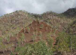 Arap Dili Uzmanı Alım İlanları ve Şartları Arap Dili Uzmanı Alım İlanları ve Şartları