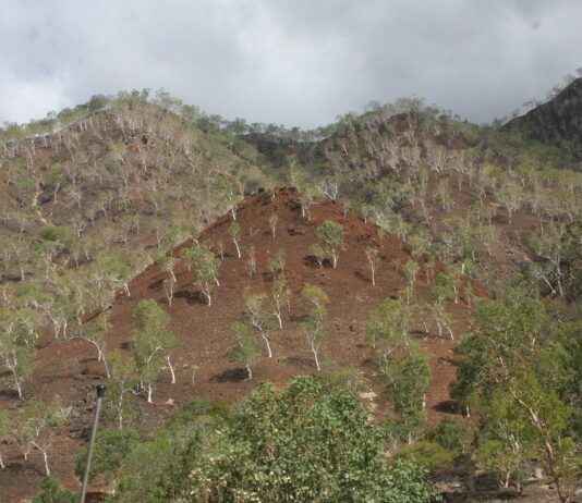 Arap Dili Uzmanı Alım İlanları ve Şartları Arap Dili Uzmanı Alım İlanları ve Şartları