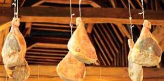 Arşiv Uzmanı Alım İlanları ve Şartları Arşiv Uzmanı Alım İlanları ve Şartları