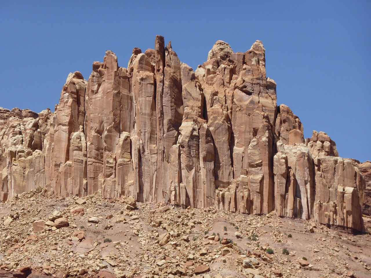 Arşiv Uzmanı Alım İlanları ve Şartları 1 Arşiv Uzmanı Nedir?