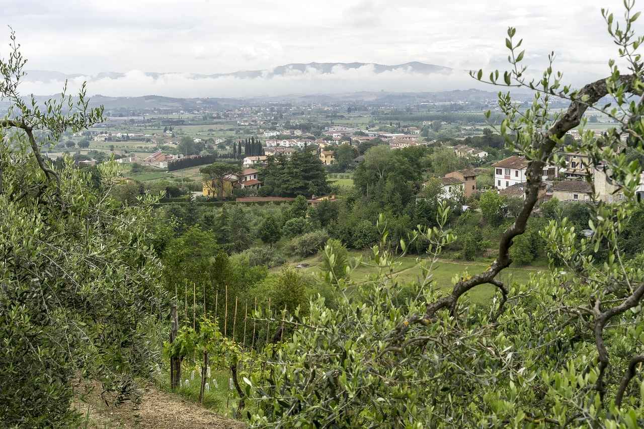 Arveles Fiyat Ne Kadar Oldu? Eczane Fiyat Listesi 3 Arveles Kullanımında Dikkat Edilmesi Gerekenler