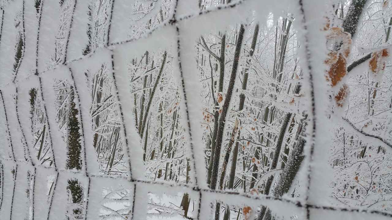 [Baba Memuru Nedir?]