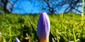 Baileys Fiyat En Uygun Nerede Satılıyor? Baileys Fiyat En Uygun Nerede Satılıyor?