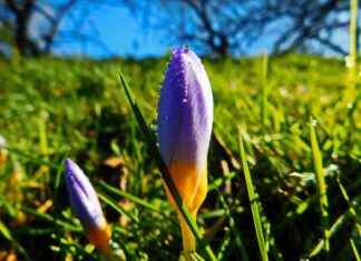 Baileys Fiyat En Uygun Nerede Satılıyor? Baileys Fiyat En Uygun Nerede Satılıyor?