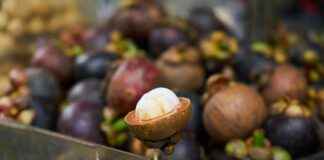 Baza Fiyatları ve En Uygun Modelleri Nerede Bulabilirsiniz? Baza Fiyatları ve En Uygun Modelleri Nerede Bulabilirsiniz?