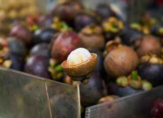 Baza Fiyatları ve En Uygun Modelleri Nerede Bulabilirsiniz? Baza Fiyatları ve En Uygun Modelleri Nerede Bulabilirsiniz?