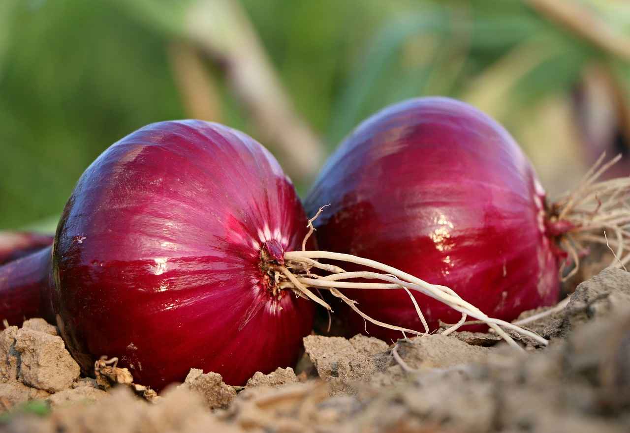 Beden Eğitimi Öğretmeni Alım İlanları ve Şartları 4 Beden Eğitimi Öğretmeni Alımında Sınav ve Mülakat Süreçleri