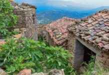 Berber Alım İlanları ve Şartları Berber Alım İlanları ve Şartları