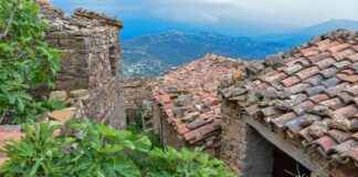 Berber Alım İlanları ve Şartları Berber Alım İlanları ve Şartları