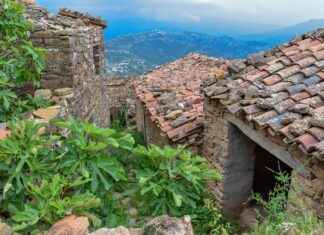 Berber Alım İlanları ve Şartları Berber Alım İlanları ve Şartları