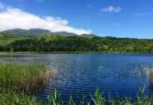 Bilgisayar Destek Uzmanı Alım İlanları ve Şartları Bilgisayar Destek Uzmanı Alım İlanları ve Şartları