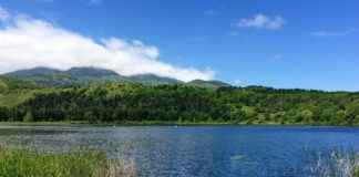 Bilgisayar Destek Uzmanı Alım İlanları ve Şartları Bilgisayar Destek Uzmanı Alım İlanları ve Şartları