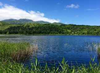 Bilgisayar Destek Uzmanı Alım İlanları ve Şartları Bilgisayar Destek Uzmanı Alım İlanları ve Şartları