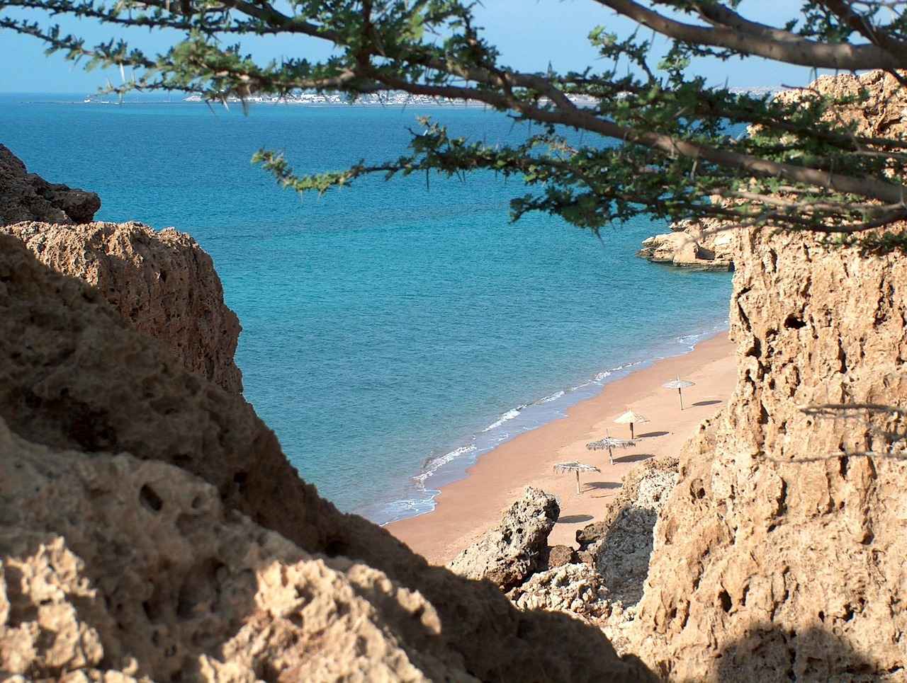 [Türlere Göre Bira Fiyatları]