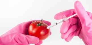 Biyoteknolog Alım İlanları ve Şartları Biyoteknolog Alım İlanları ve Şartları