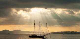 Çalışma Bilimleri Uzmanı Alım İlanları ve Şartları Çalışma Bilimleri Uzmanı Alım İlanları ve Şartları