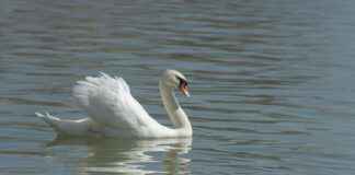 Cam Balkon Fiyatları Hangi Unsurlara Göre Değişir? Cam Balkon Fiyatları Hangi Unsurlara Göre Değişir?