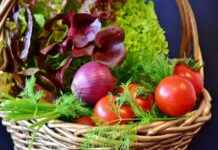 Çevirmen Alım İlanları ve Şartları Çevirmen Alım İlanları ve Şartları