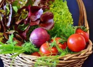 Çevirmen Alım İlanları ve Şartları Çevirmen Alım İlanları ve Şartları