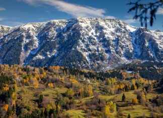 Çevre Mühendisi Alım İlanları ve Şartları Çevre Mühendisi Alım İlanları ve Şartları