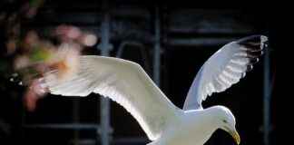 Çevre, Şehircilik ve İklim Değişikliği Bakanlığı Memur Alım İlanları ve Memur Alım Şartları Çevre, Şehircilik ve İklim Değişikliği Bakanlığı Memur Alım İlanları ve Memur Alım Şartları