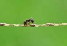 Coğrafyacı Alım İlanları ve Şartları Coğrafyacı Alım İlanları ve Şartları